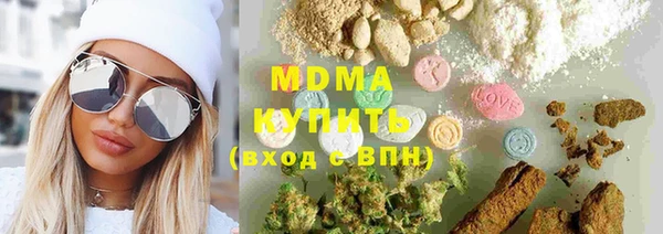 spice Богородицк